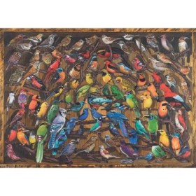 Puzzle curcubeu de pasari 1000 piese